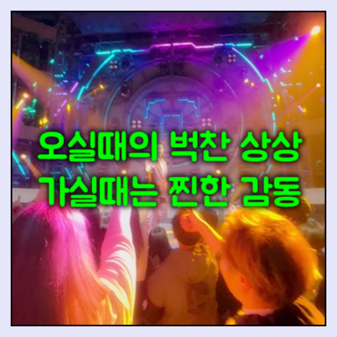 강남성인나이트