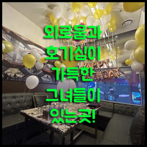 청담h2o나이트 강호동@7