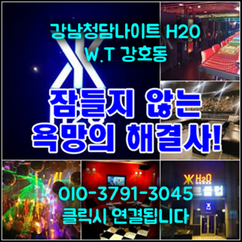 강남 나이트 순위