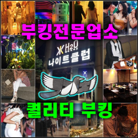 청담h2o나이트 강호동@7